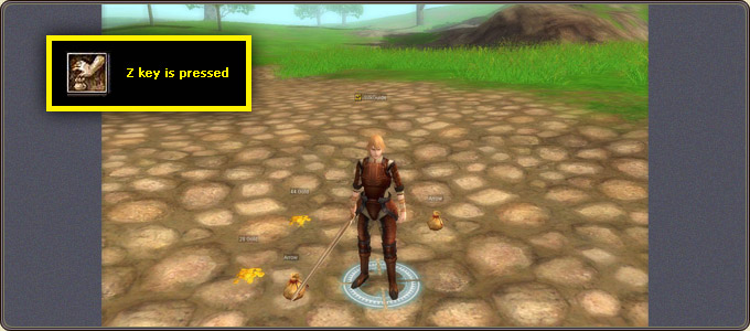 Pressing Z shows the names of items on the ground