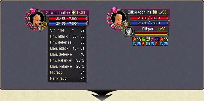 The character status panel with its detailed values; the pet status bar on the right