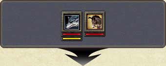 Mount and pet status indicators