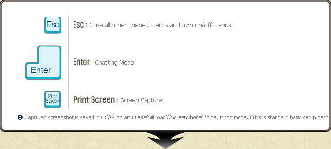 The Esc, Enter and Print Screen functions