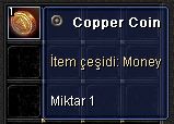 Copper Coin