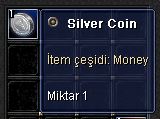 Silver Coin