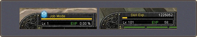 Job Mode: with the outfit on, the character level and EXP bar at the bottom are replaced by the job level and job EXP