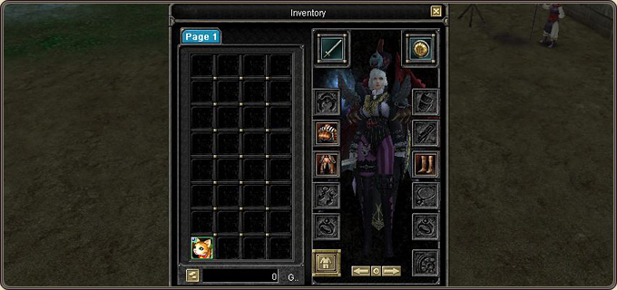 The pet summoning item in the inventory — right-click it to summon the pet