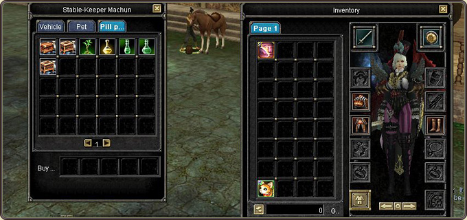 The Stable-Keeper window: the Vehicle / Pet / Pet items tabs and the upkeep items