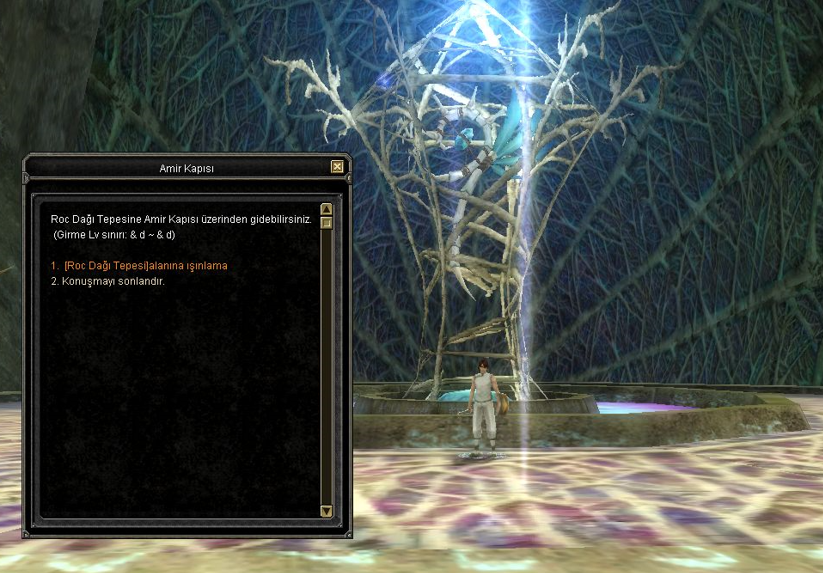 The Amir Gate dialogue: the option to teleport to the summit of Roc Mountain